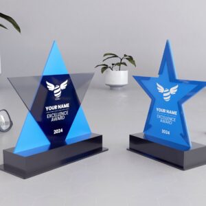 il_1588xN.5792793337_1beq.jpg Acrylic Trophies